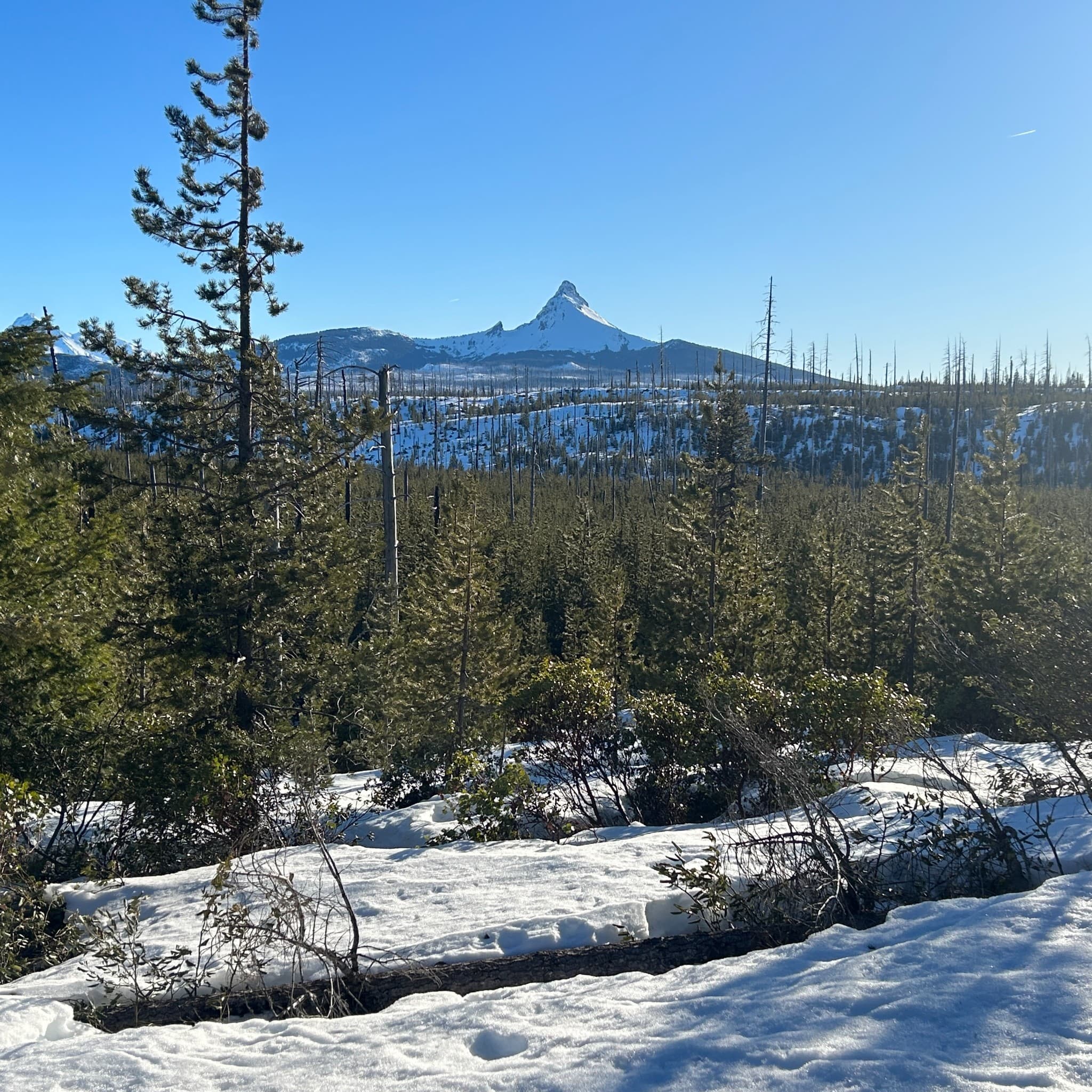 Snowy mountain landscape in Oregon